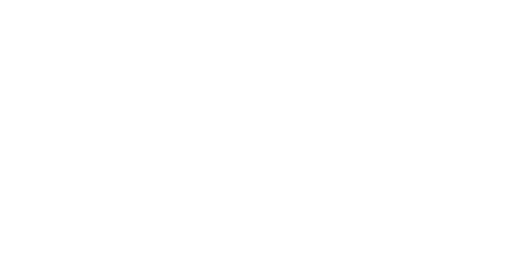 Zhik